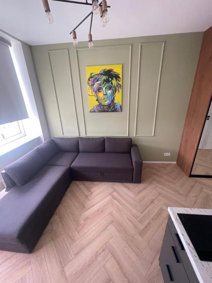 Airport Apartment 14 Self Check-In Free Parking VNO Extérieur photo